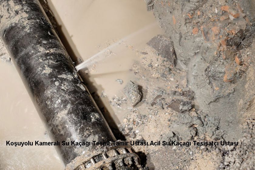 Koşuyolu Kameralı Su Kaçağı Tespit Tamir Ustası Acil Su Kaçağı Tesisatçı Ustası